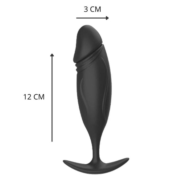 Stimulateur Prostatique Gay