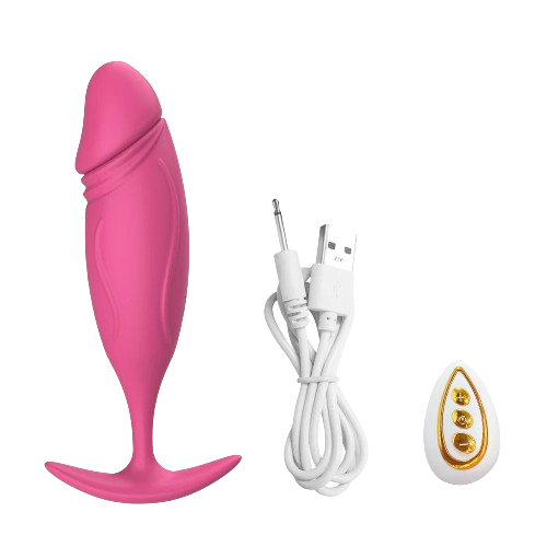 Stimulateur Prostatique Gay